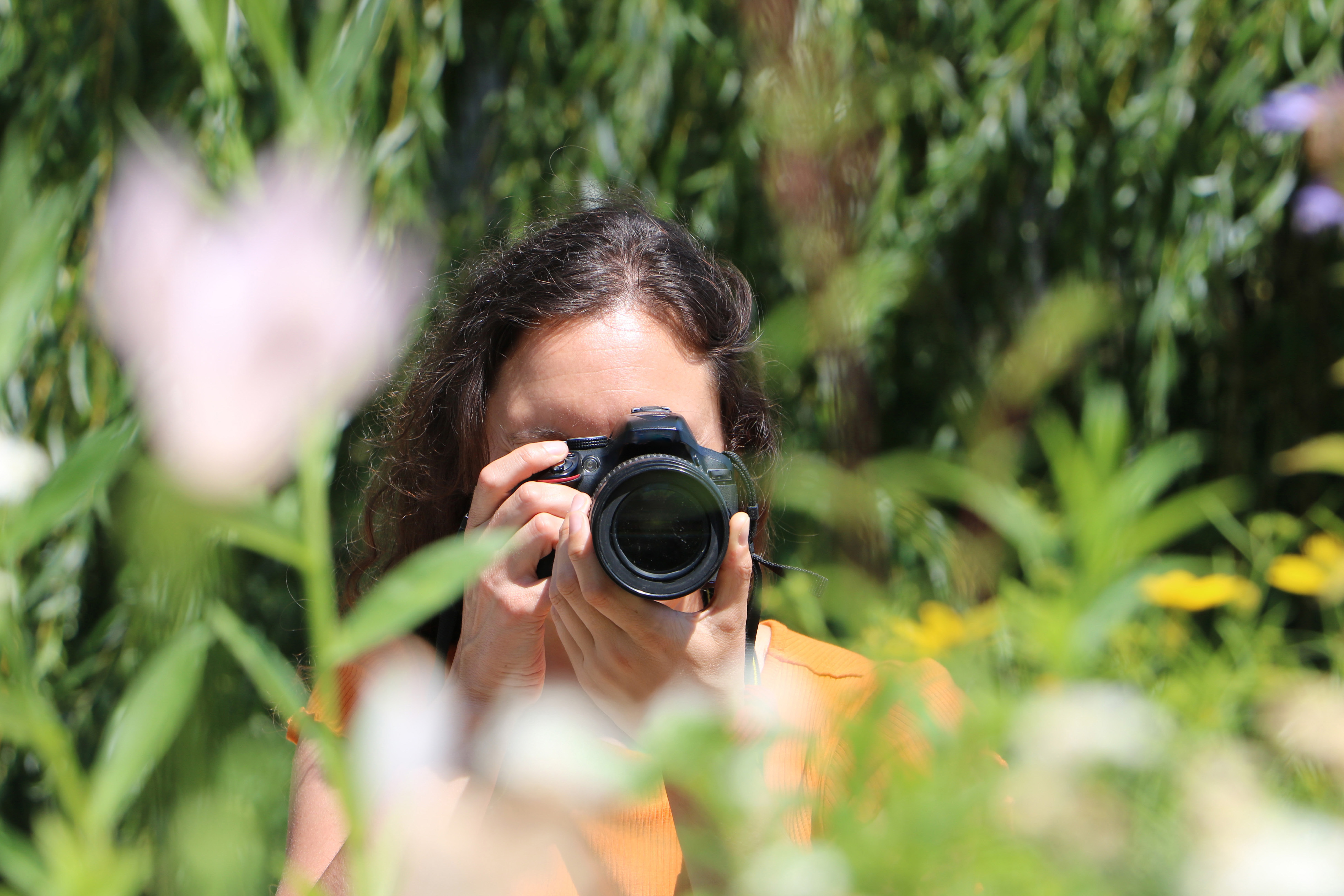 Photo Action: Nature in Focus. In stillness, nature whispers. Click.